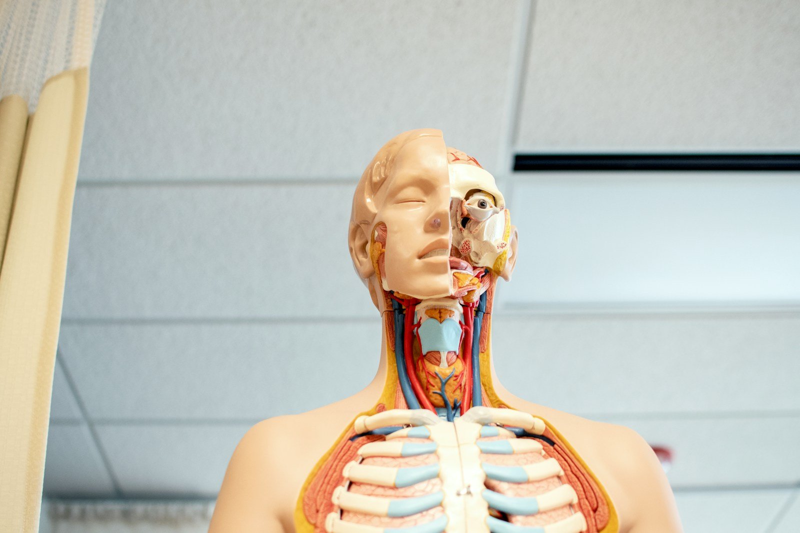 Anatomy Books