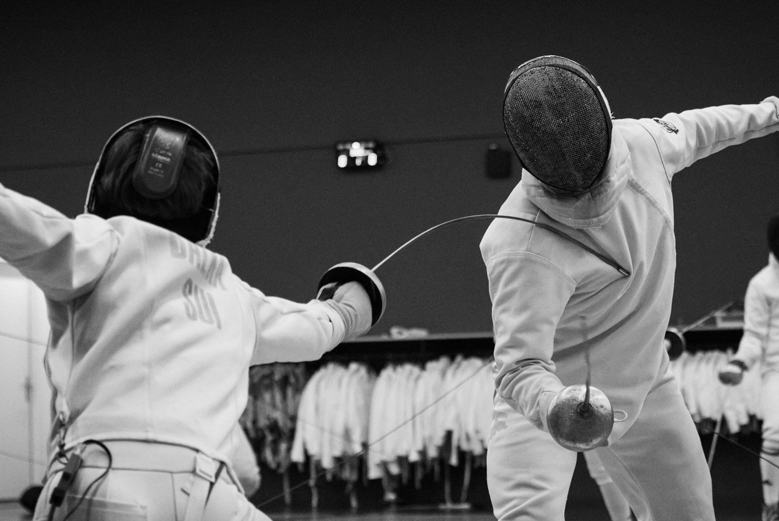 Fencing Books