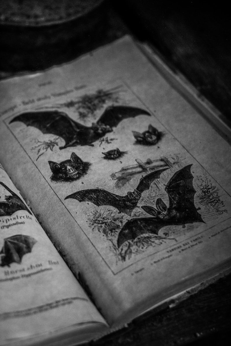 Dark Fantasy Books
