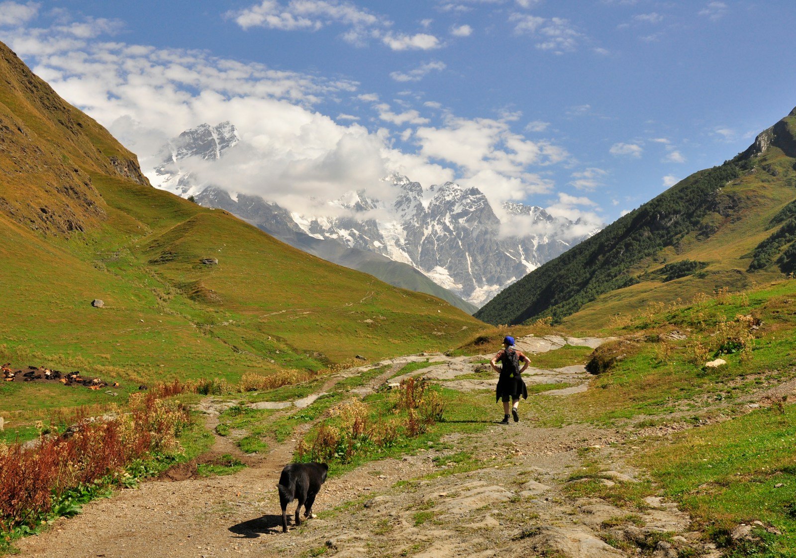 Georgia Travel Guides